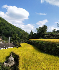 ��̨ӾϪ������Ŵ�����