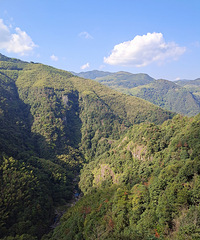 걺����ĳɡ������Ｃ������·�ϵ���������