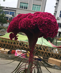 һ��޴�ļ��ڻ�����Ư������Ȼ�ܳ���ô��