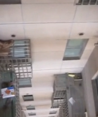 �յ�ǰŮͬ��������С�����ĸ����޵�·����������10¥׹�¡�