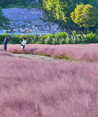 ��Ů�ı���޷����ܵķ�ɫ����