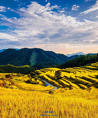 �㶫�����ȶ�NO.1�ĵط���һ��10������������Դ