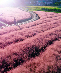 ��Ů�ı���޷����ܵķ�ɫ����