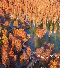 �����Լ�1h��������һ�����������½�����˹������أ�