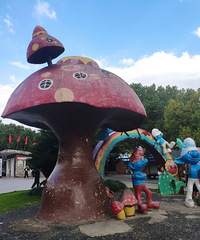 �����Ѻ�С���ѵĻ���ʱ�⣬������Ķ�����