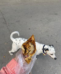 ·�ź����÷���⣬����һ��ص�Сʱ��