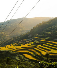 ��������·��������������������������