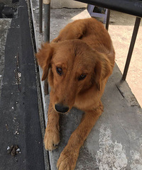 ����̫���Ǹ���Ѱ����ʾ