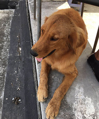 ����̫���Ǹ���Ѱ����ʾ