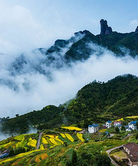 ȥ�˲�֪����������һ����������һ���Ӿ�ʢ��