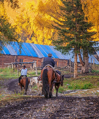 ���ʺ�һ����ȥ��15�����εأ����˳�ȥ��һ��