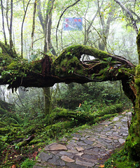 ���������ء������Լ���һ��֮ĥ�����빱�¶���