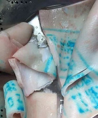 �㽭һ��������ɫ�����ġ������⣬�е�����...���������