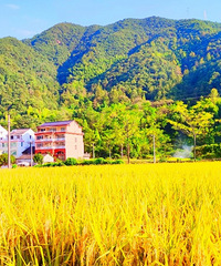 ��ĺ��絾�ӻƣ������ڼ�ũ��Ц