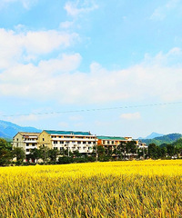 ��ĺ��絾�ӻƣ������ڼ�ũ��Ц