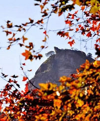 ���⽥Ũ�����Ѱ��ţ��ڸ�����·��ͼ