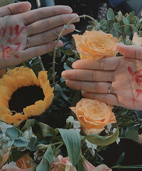 ��֤���˸��ģ�ȥ��ɽ��԰������һ�£�����~