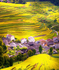 ���˻��ˣ�̨����Ķ���������ͻ�