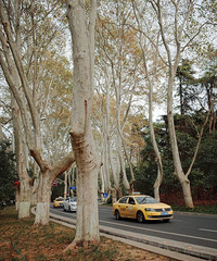 ʮһ�����μ۸���ˮ����������ʮ���ط��Ѿ��������ɾ�