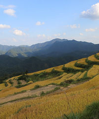 ��������ĳ�����Ҳ��һ����̨ӾϪ��ɽ��