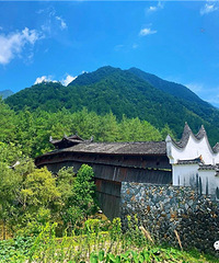 ��Ԫ�񾲶����������ӣ������˼��ɾ�