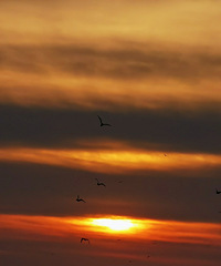 ȥ����´������һ�ο������캣Ÿ������