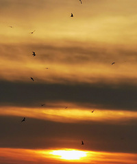 ȥ����´������һ�ο������캣Ÿ������