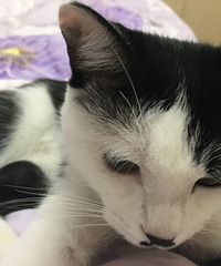 ����Ůè������������