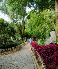 ���������������ٺ�����