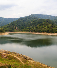 ̫��ɽ�Ұ�ɫɹͼ��ɽ����Ұ�ܿ���