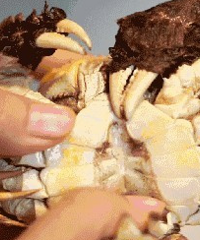 ��ν���բз�Ը�Ĩ����ȫ�Ǹɻ�Ŷ