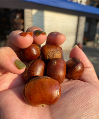 ����Ǩ���ǳ����ӣ���ζŨ���Ӵ���˿˿��ζ