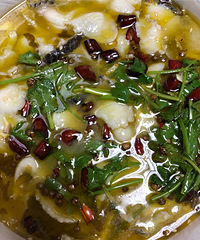 ��������·���������跹Ҳ�ܺó�