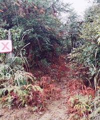 ̽��2020�����˹����ԽҰ����ɸ��-��̶᮶�������