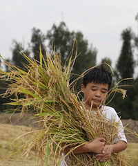 ���������������ǣ���С�һ�ȥ����һ��ũ��