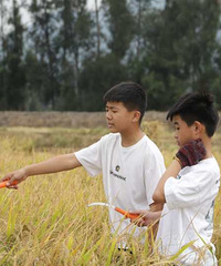 ���������������ǣ���С�һ�ȥ����һ��ũ��