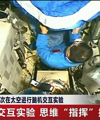 ɷ��! ̨��32��˧���з����������ԣ�������Ϳɴ��֣�