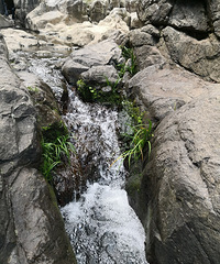 �ٺ���Ϫ�����ţ��������������Ź��¶�����