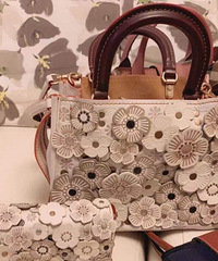 �²۴�ᣡ�̵�������������İ�����������ǹ����