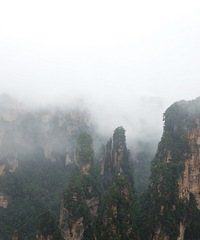 �����żҽ磬���Կ����żҽ�������ɽ��