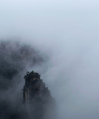 �����żҽ磬���Կ����żҽ�������ɽ��