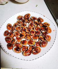 ��Ѫ��ˮ������Ѫ����5-8�������̳�