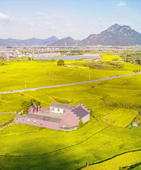 ̨����Щ�ط�һƬ��Ӳӣ��ַ����ĳ�������Ƭ