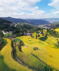 ̨����Щ�ط�һƬ��Ӳӣ��ַ����ĳ�������Ƭ