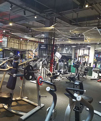 �ż��ʽ罡����