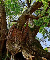 ������5�����ش��䣬���Ź��ӽ�����ɫ��һ��Ҫȥһ��