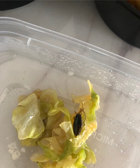 �����������ŵ���������Ȼ�Գ�Сǿ