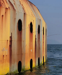 ��ץ��11�˾��ܵ�����Ĵ��ŵ��Ŷ��ϵ���