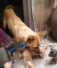 С����������ͣ�����Ҫ��˽����ϵ