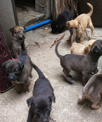 С����������ͣ�����Ҫ��˽����ϵ